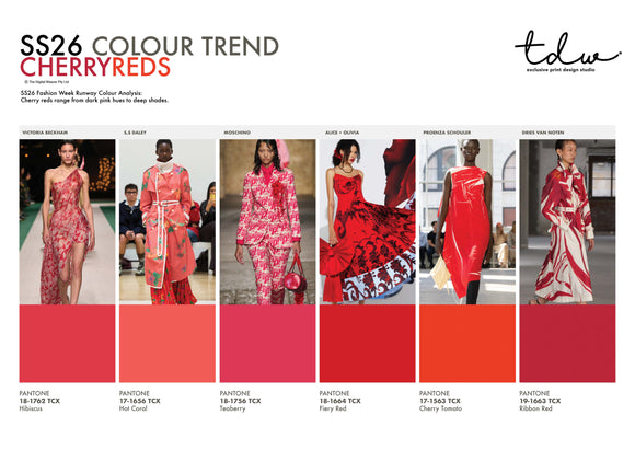 SS26 COLOUR TREND Cherry Reds A3 Trend Board Digital File